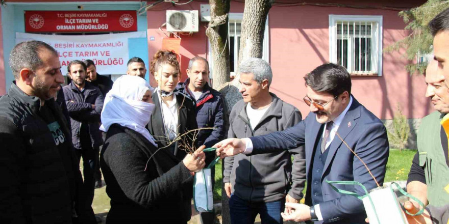 Beşiri’de çiftçilere ücretsiz 12 bin adet badem ve fıstık fidanı dağıtıldı