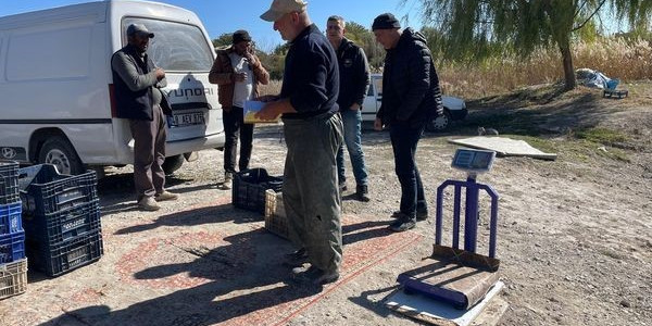 Beyşehir Gölünde balık boy denetimi