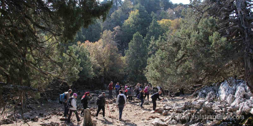 Beyşehir Gölündeki Hacıakif Adası doğa tutkunlarının ilgi odağı