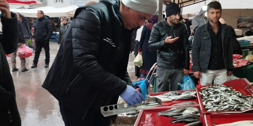 Beyşehir’de boy limiti altında balık tüketilmemesi çağrısı