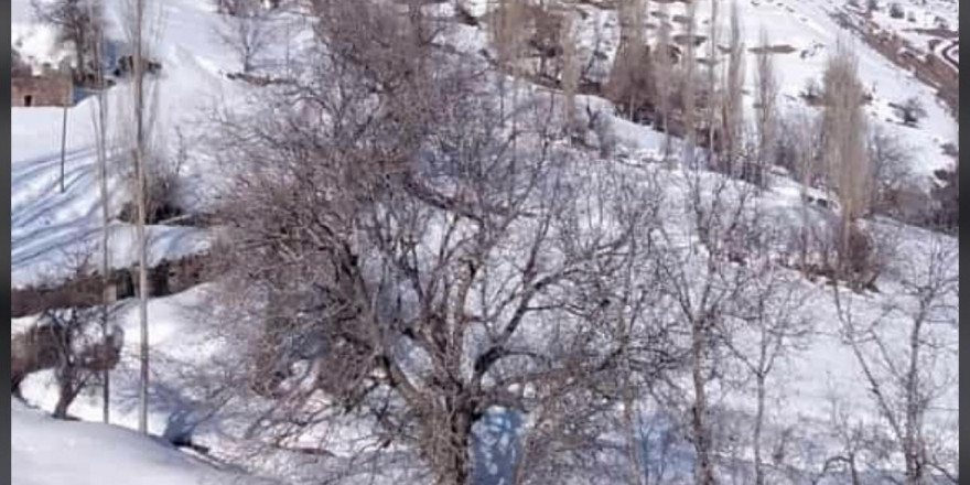 Beytüşşebap’ta kar etkisini sürdürüyor