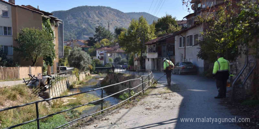 Bilecik’te dalakdere ve çevresinde kapsamlı temizlik