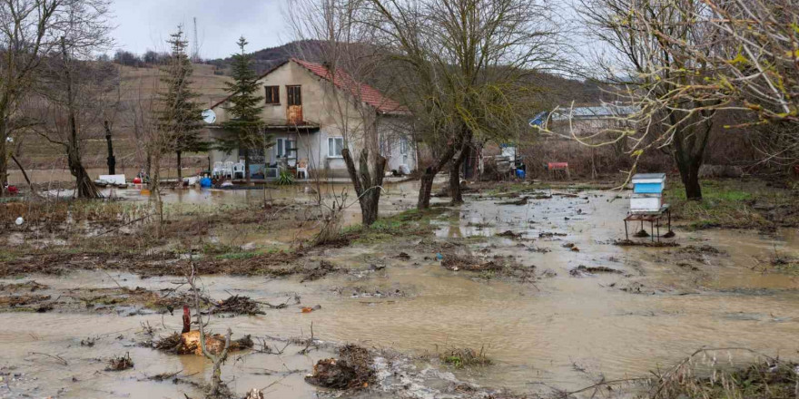 Bilecik’te Karasu Deresi taştı, birçok tarım arazisi ve iki ev su altında kaldı