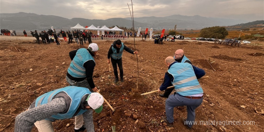 Bilecik’te mahkumlar fidan dikimine katıldı