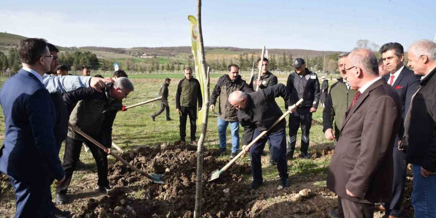 Bin 500 fidan toprakla buluşturuldu