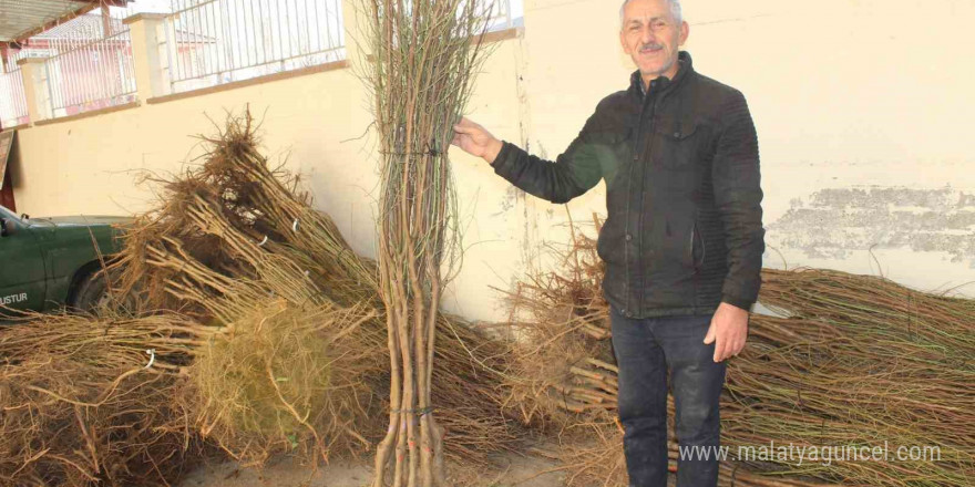 Bin badem fidanı dağıtıldı