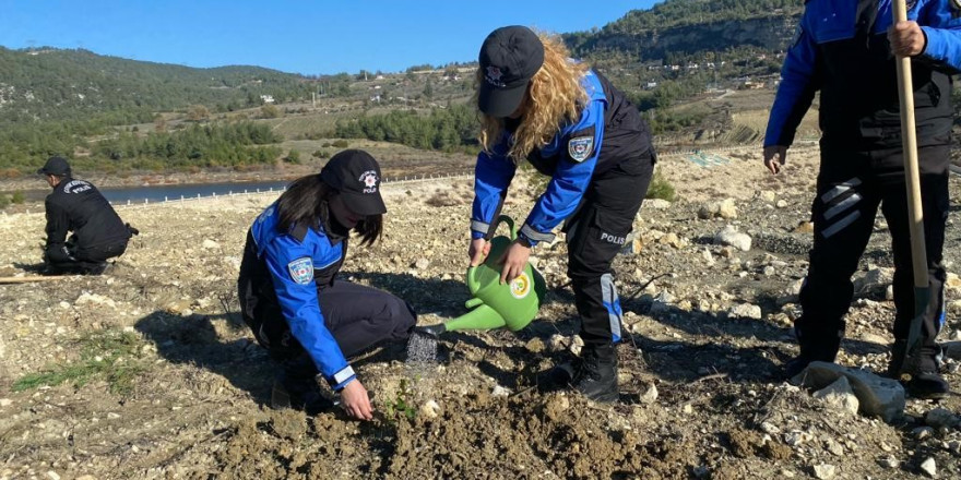 Bin fıstıkçamı ve harnup fidanı toprakla buluştu