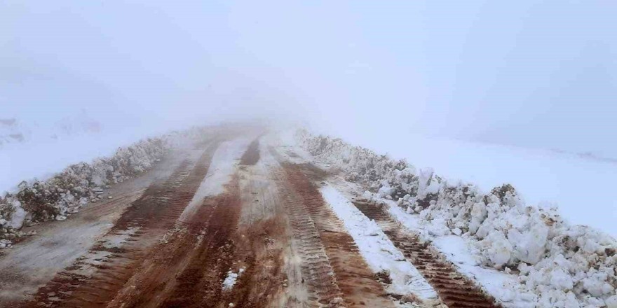 Bingöl’de 2 bin 500 rakımlı tepe beyaza büründü