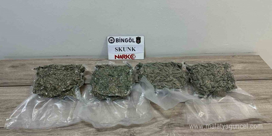 Bingöl’de 2 kilo 86 gram skunk ele geçirildi