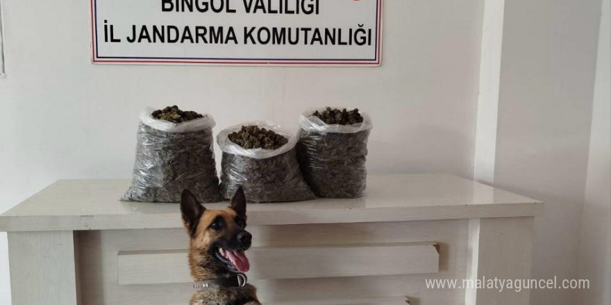 Bingöl’de 4,5 kilo esrar ele geçirildi