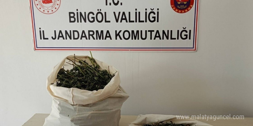 Bingöl’de 7 kilo esrar ele geçirildi