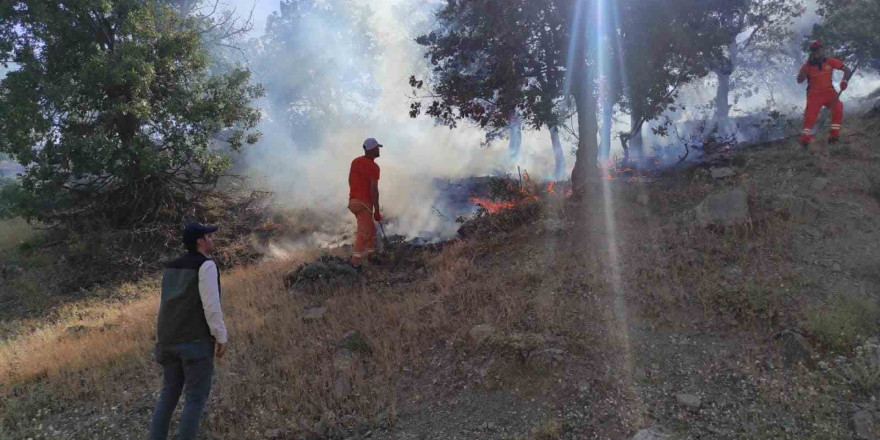 Bingöl’de iki ayrı bölgede çıkan yangınlar söndürüldü