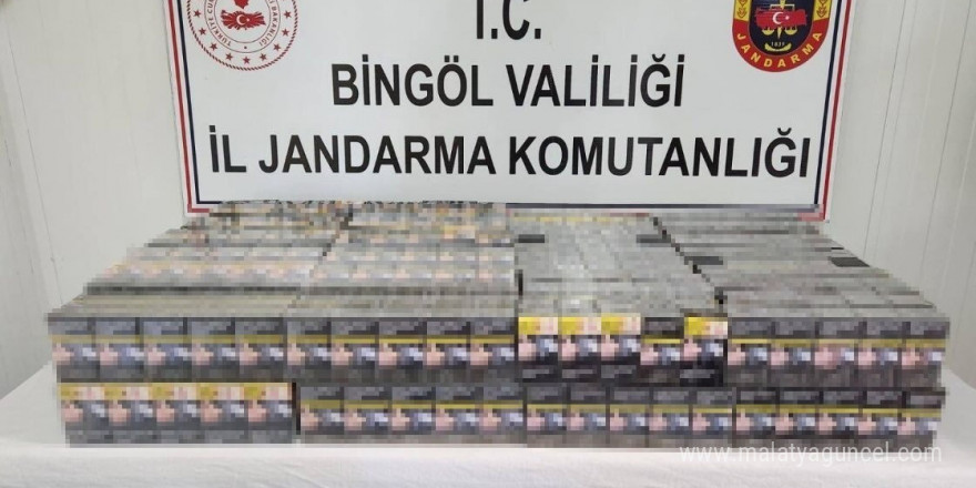 Bingöl’de kaçak kazı yapan 2 kişi yakalandı