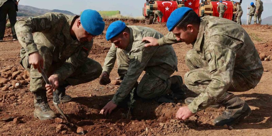 Bingöl’de Mehmetçik, Türkiye yüzyılında bin 500 fidan dikti