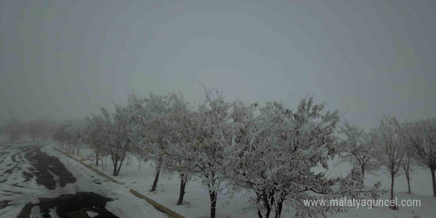 Bitlis buz tuttu