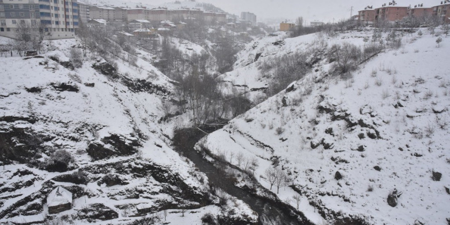 Bitlis’te 34 köy yolu ulaşıma kapandı