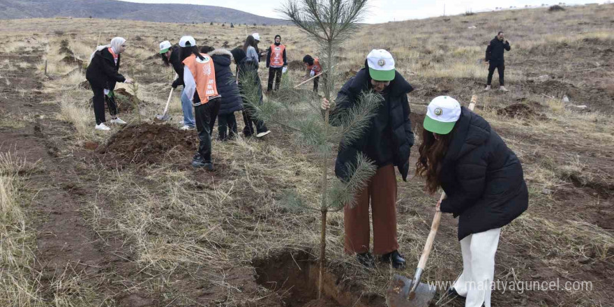 Bitlis’te bin adet fidan dikildi