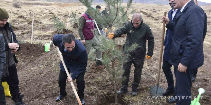 Bitlis’te bin adet fidan dikildi