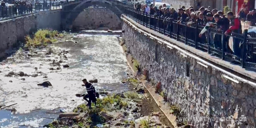 Bitlis’te dereye düşen kekliği vatandaşlar kurtardı