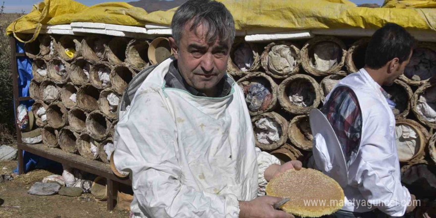 Bitlis’te dünyaca ünlü karakovan balının hasadına devam ediliyor