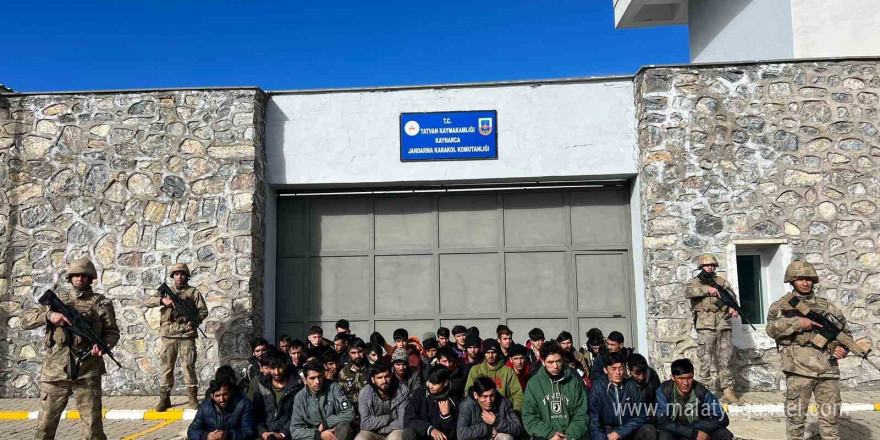 Bitlis’te göçmen kaçakçılığı operasyonları