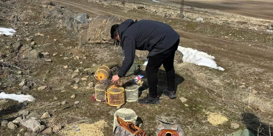 Bitlis’te kaçak keklik avlayan 4 kişiye 88 bin lira idari para cezası kesildi