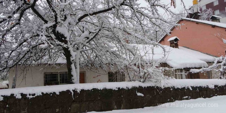 Bitlis’te kar yağışından dolayı 165 köy yolu ulaşıma kapandı