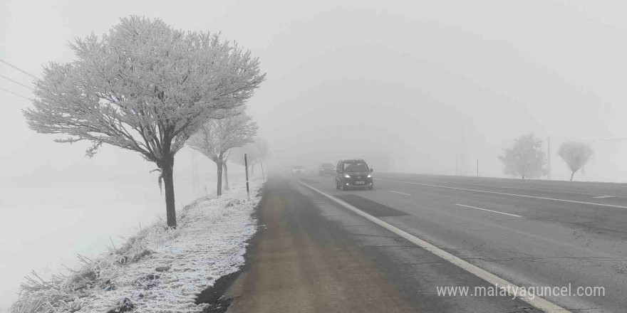 Bitlis’te sis etkili oldu