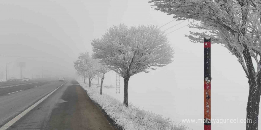 Bitlis’te sis etkili oldu