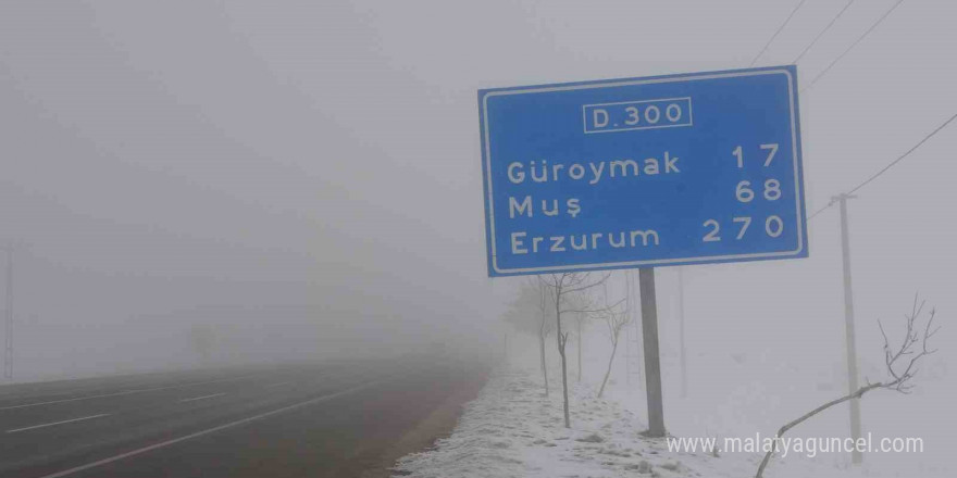 Bitlis’te yoğun sis