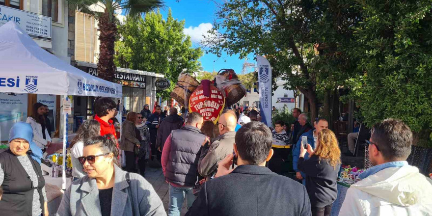 Bodrum Mandalina Festivali buruk geçti