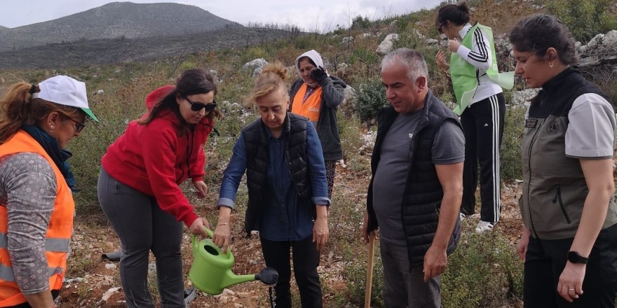 Bodrum’da 10 bin fidan toprakla buluştu