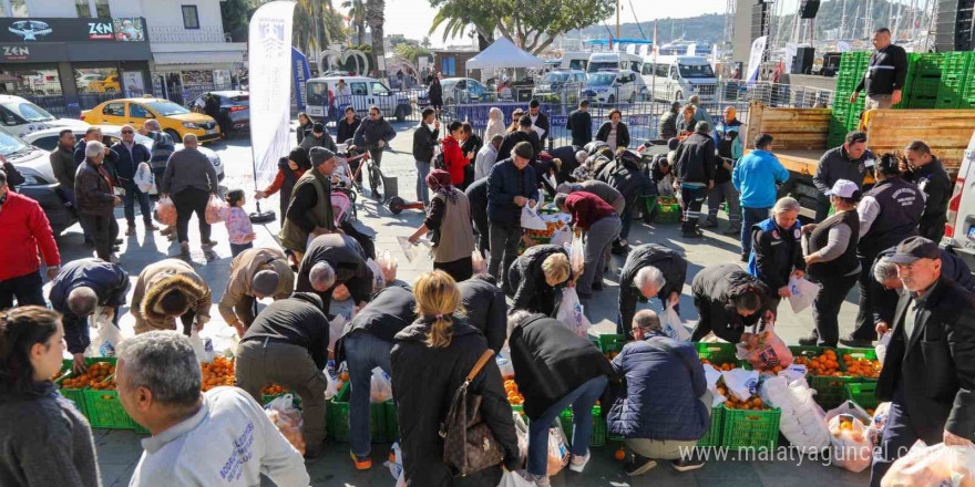 Bodrum’da 10 ton mandalina dağıtıldı