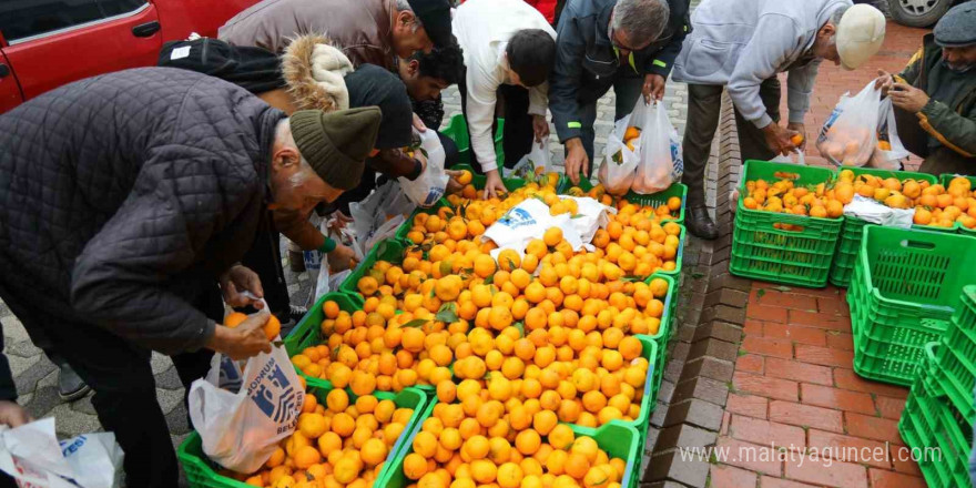 Bodrum’da 10 ton mandalina dağıtıldı