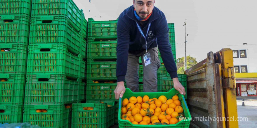 Bodrum’da 10 ton mandalina dağıtıldı