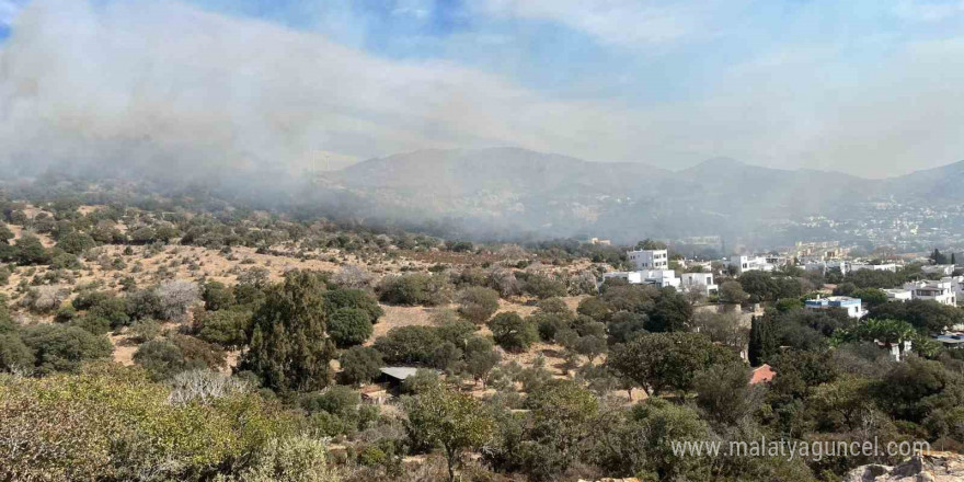 Bodrum’da ağaçlık alanda yangın çıktı