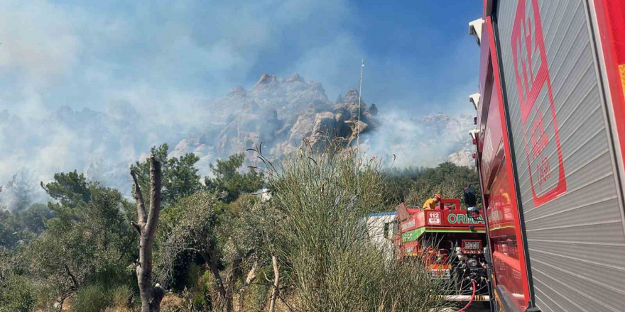 Bodrum’da çıkan yangın MUSKİ’nin arıttığı su ile söndürüldü