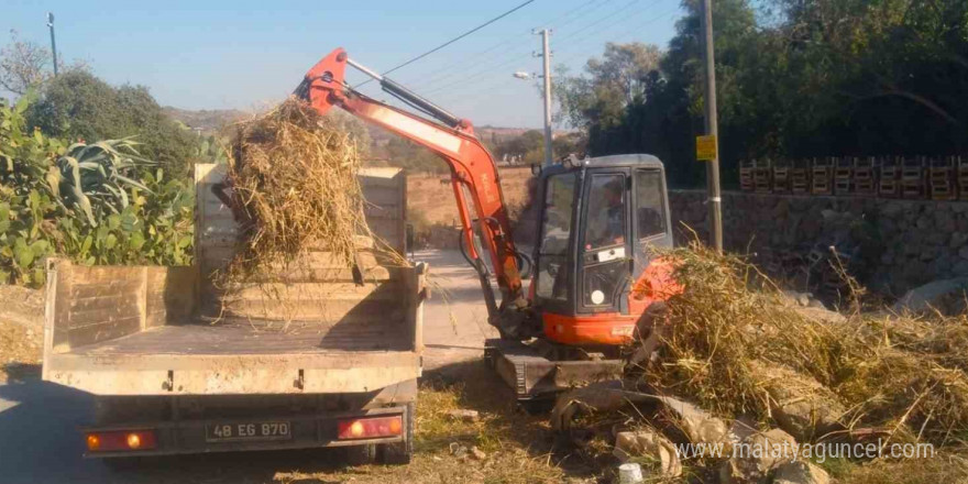 Bodrum’un derelerinde kış temizliği