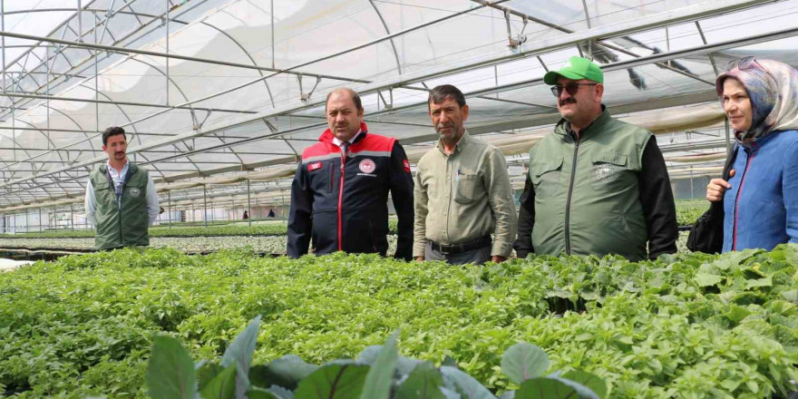 Bölgenin fidesi Erzincan’dan