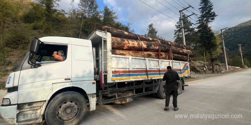 Bolu’da kaçak odun dolu kamyonlar yakalandı