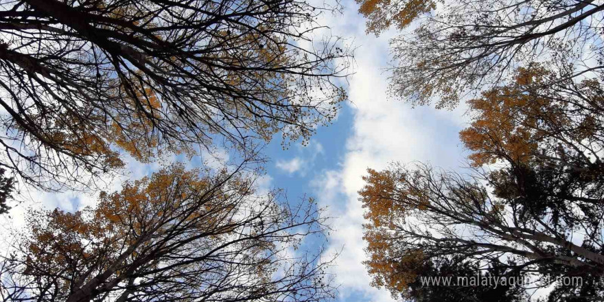 Bolu’nun dağlarında kış öncesi sonbahar güzelliği