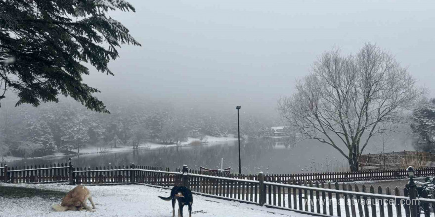 Bolu’nun incisi beyaza büründü