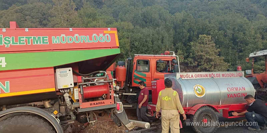 Bozdoğan yangınının önü kesildi