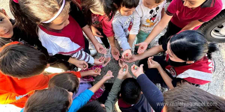 Bozdoğan’da öğrencilere ağaç sevgisi aşılandı, tohum topları ormanlara bırakıldı