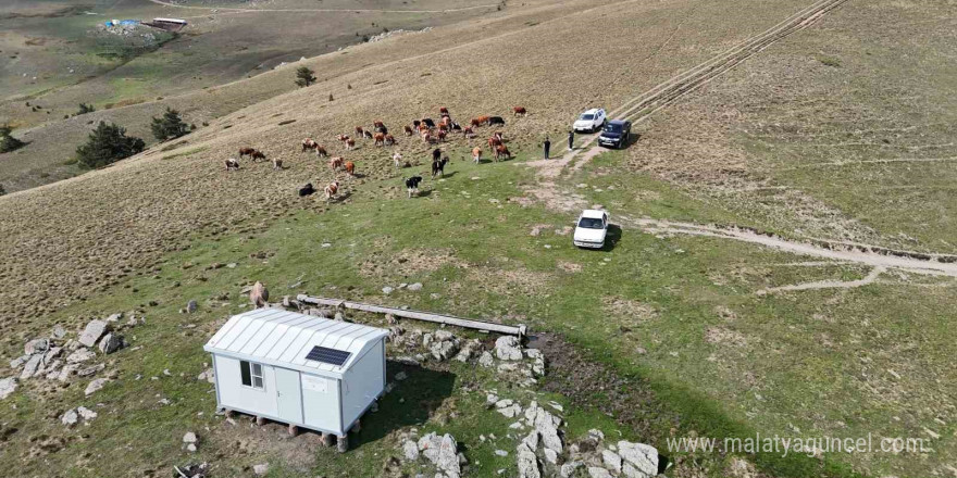 Bu evler çobanlık mesleğini cazip hale getiriyor, hayvansal üretime katkı sağlıyor