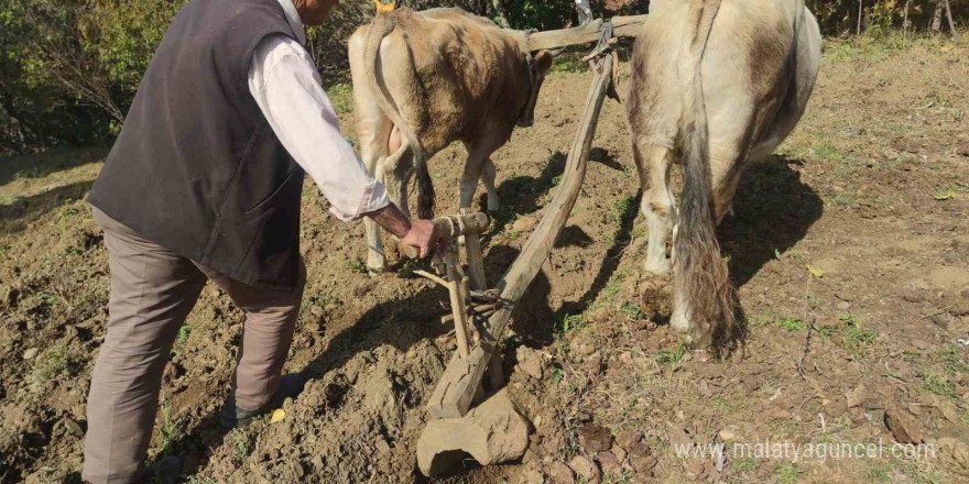 Bu köydeki tarım halen karasabanla yapılıyor