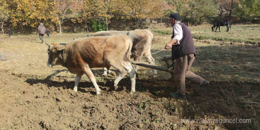 Bu köydeki tarım halen karasabanla yapılıyor