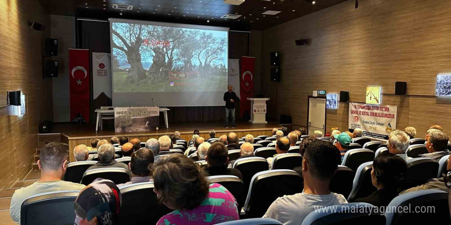 “Bu Topraklarda Zeytin Üretmek Tarihsel ve Sosyal Sorumluluğumuzdur” Adlı Proje Hayata Geçirildi