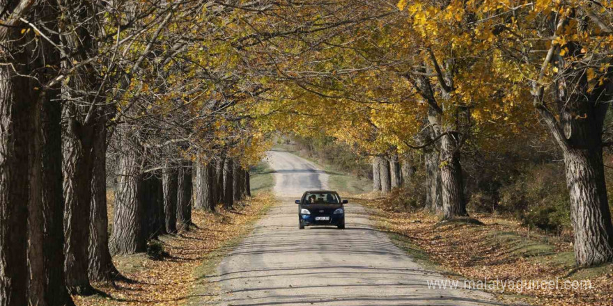 Bu yol yeni evlenen çiftlerin uğrak noktası