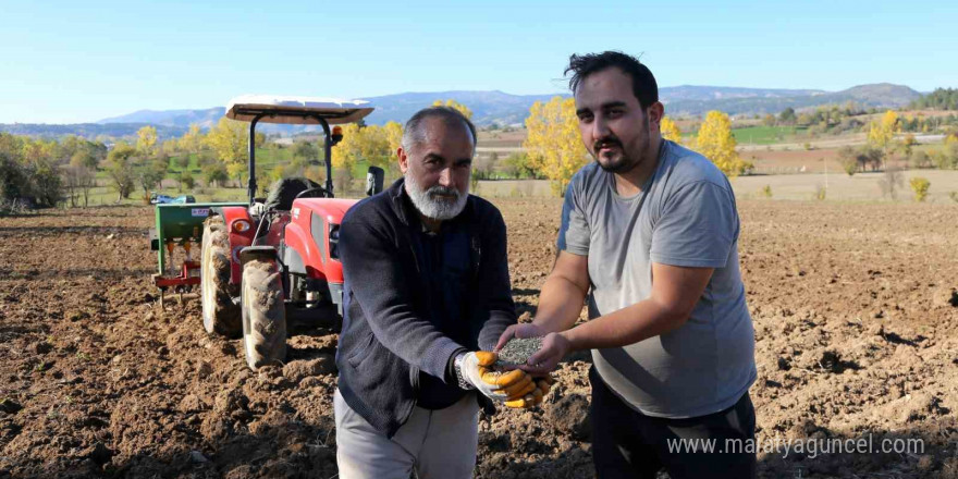 Buğdayın atası 12 bin yıllık siyez toprakla buluştu